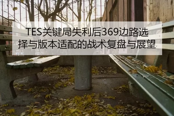 TES关键局失利后369边路选择与版本适配的战术复盘与展望