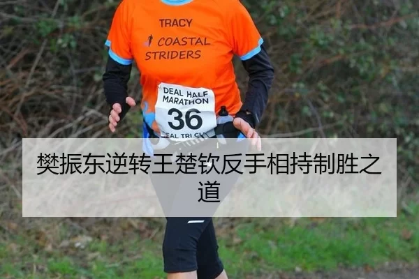 樊振东逆转王楚钦反手相持制胜之道