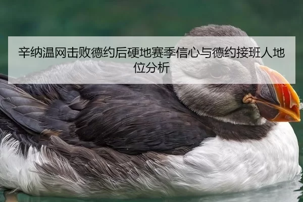 xin-na-wen-wang-ji-bai-de-yue-hou-ying-di-sai-ji-xin-xin-yu-de-yue-jie-ban-ren-di-wei-fen-xi-2-914.jpg
