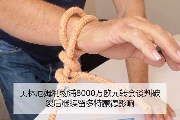 贝林厄姆利物浦8000万欧元转会谈判破裂后继续留多特蒙德影响